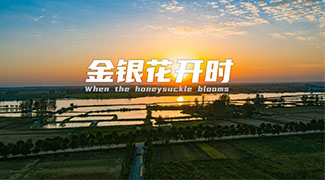 &#19975;&#35937;&#22478;&#22312;&#32447;&#30331;&#24405;&#32;&#45;&#32;&#19975;&#35937;&#22478;&#65288;&#20013;&#22269;&#65289;&#45;&#19975;&#35937;&#22478;&#65288;&#20013;&#22269;&#65289;